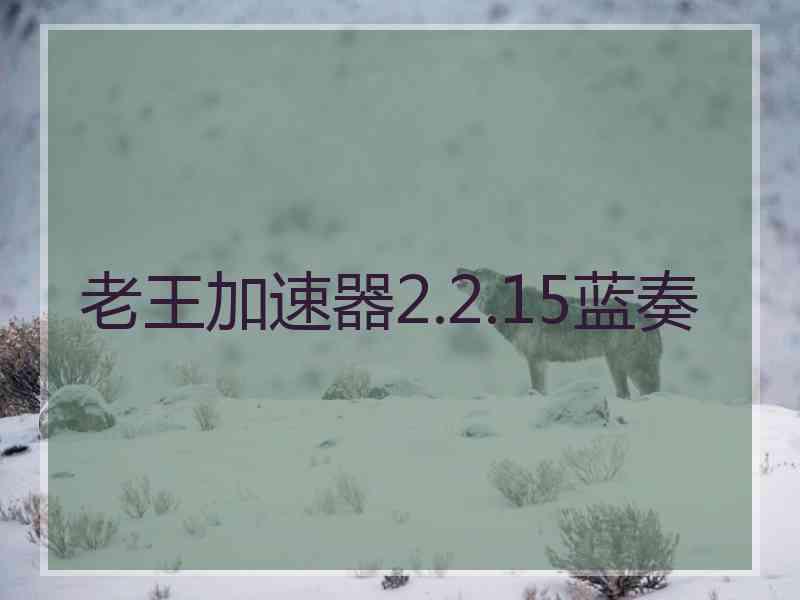 老王加速器2.2.15蓝奏