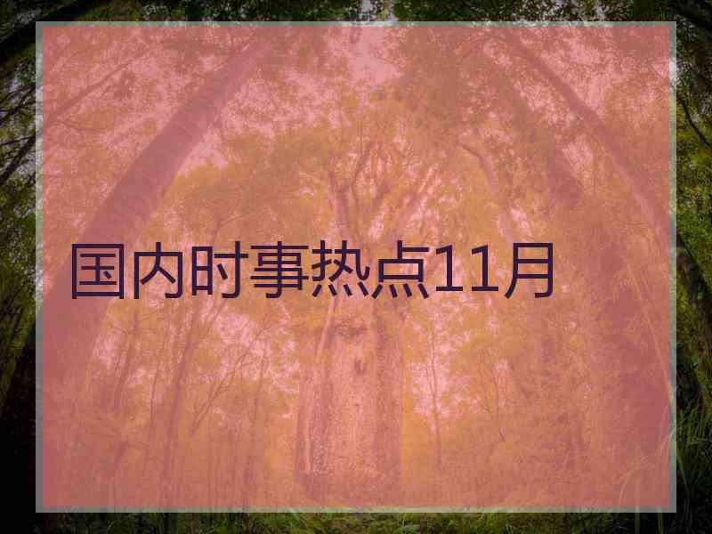 国内时事热点11月