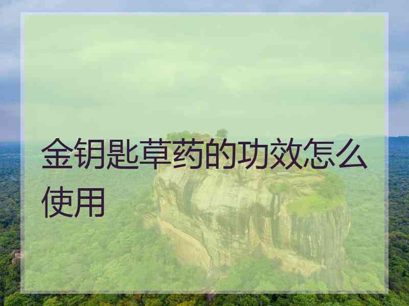 金钥匙草药的功效怎么使用