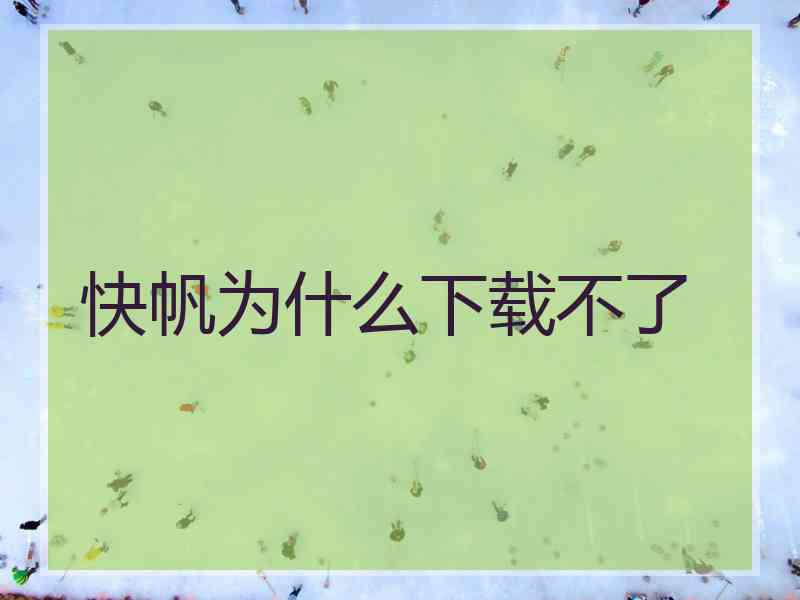 快帆为什么下载不了