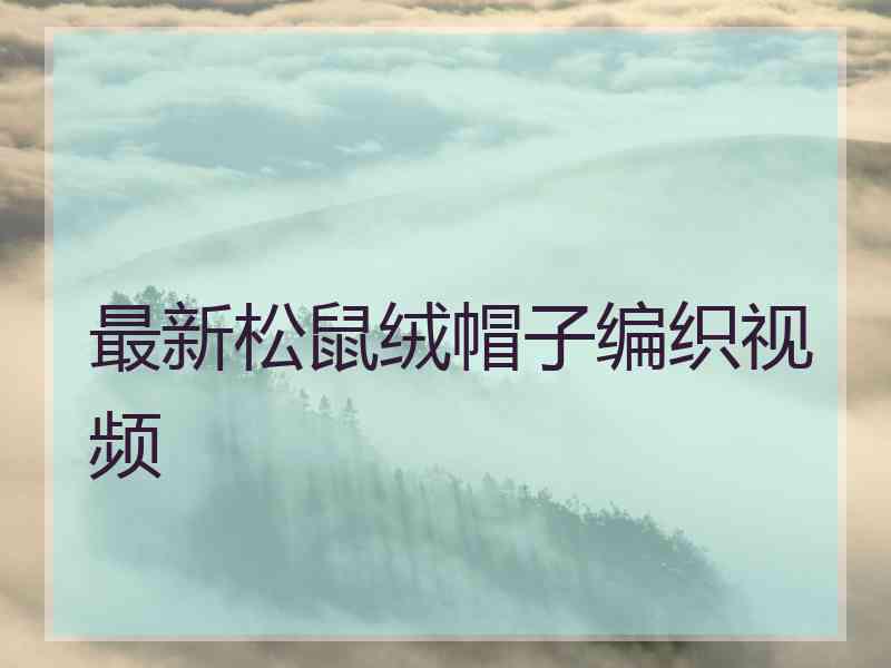 最新松鼠绒帽子编织视频