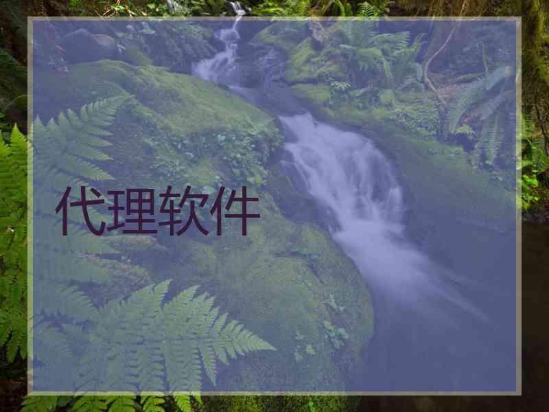 代理软件