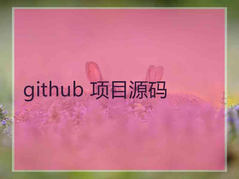 github 项目源码