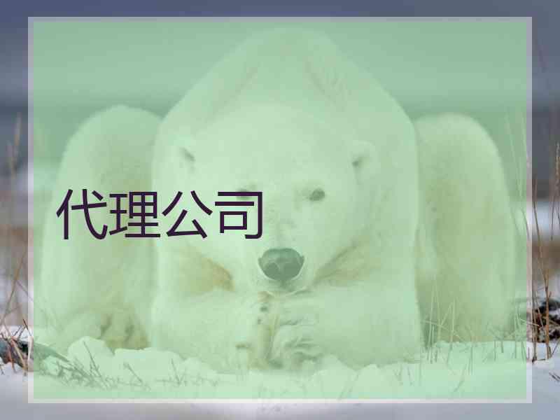 代理公司
