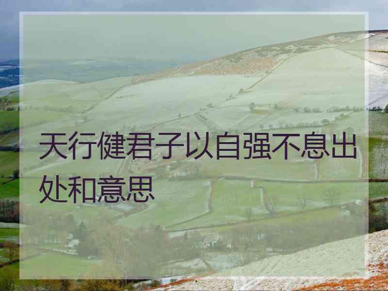 天行健君子以自强不息出处和意思
