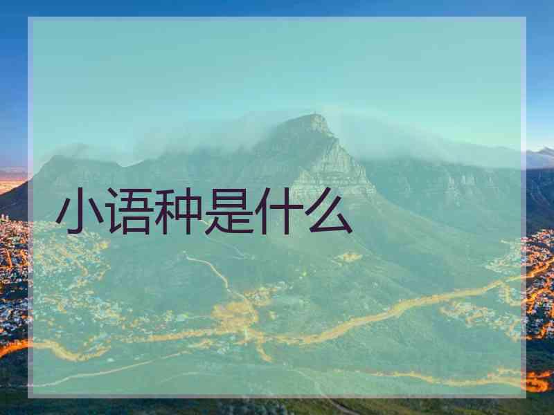 小语种是什么