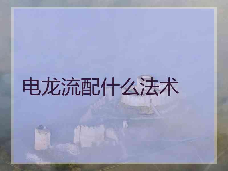 电龙流配什么法术