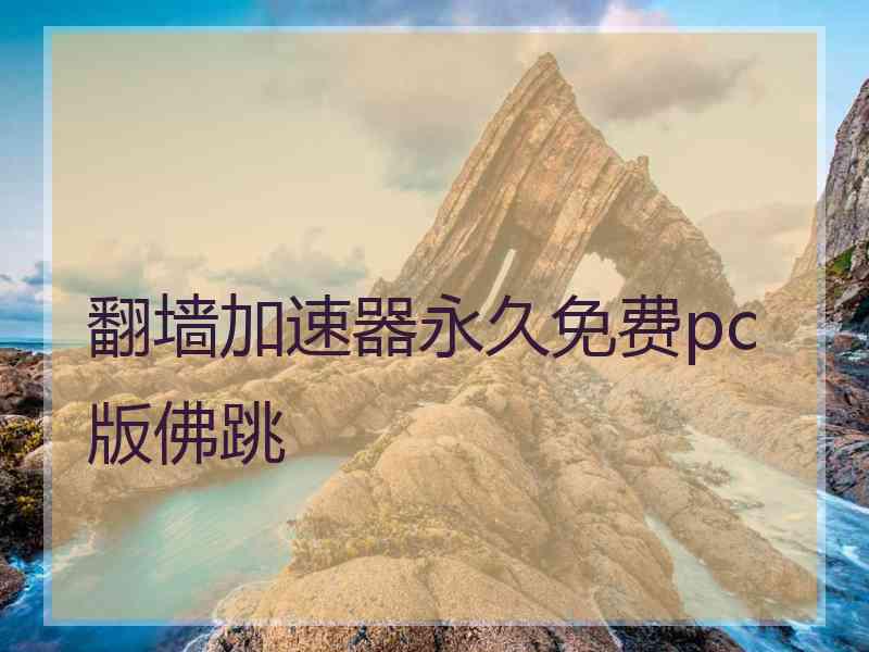 翻墙加速器永久免费pc版佛跳