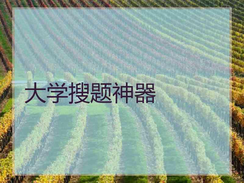 大学搜题神器