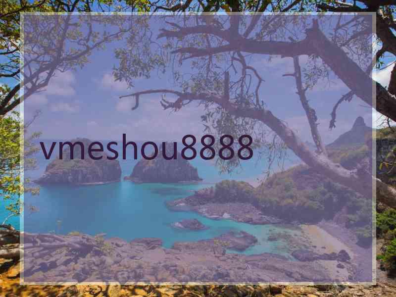 vmeshou8888