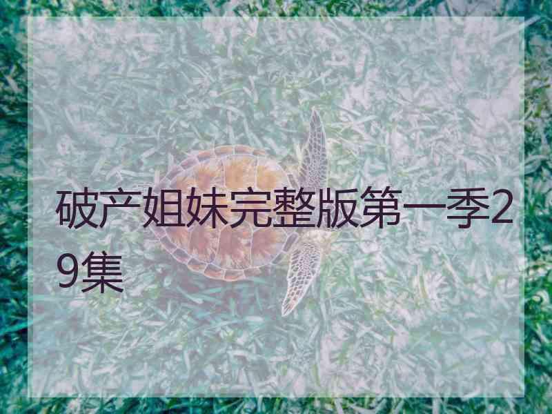 破产姐妹完整版第一季29集