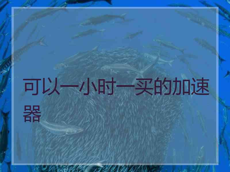可以一小时一买的加速器
