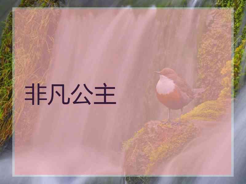 非凡公主