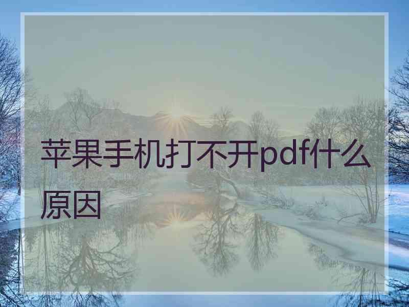 苹果手机打不开pdf什么原因