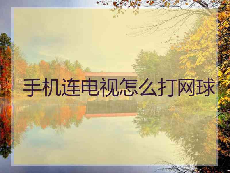 手机连电视怎么打网球