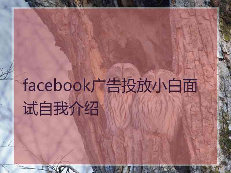 facebook广告投放小白面试自我介绍