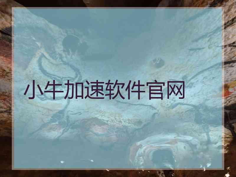 小牛加速软件官网