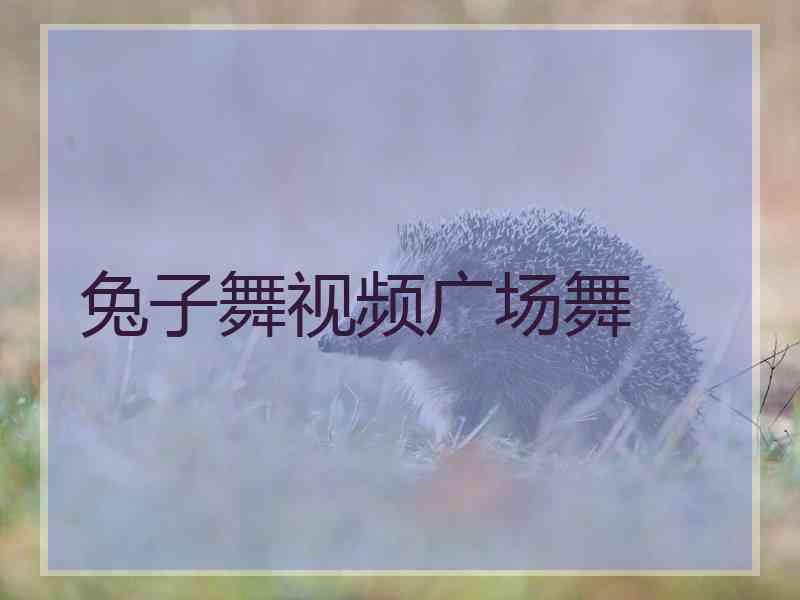 兔子舞视频广场舞