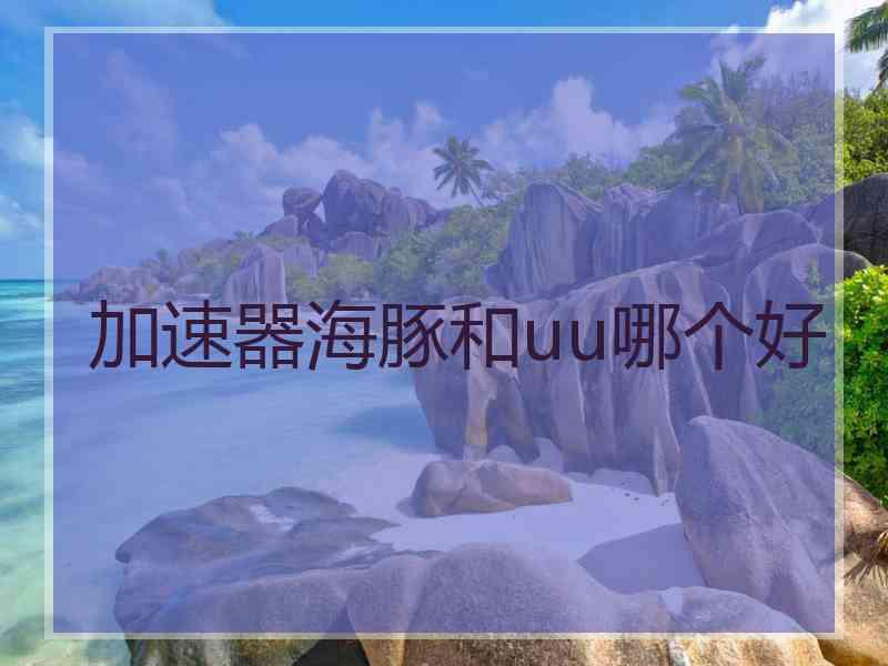 加速器海豚和uu哪个好