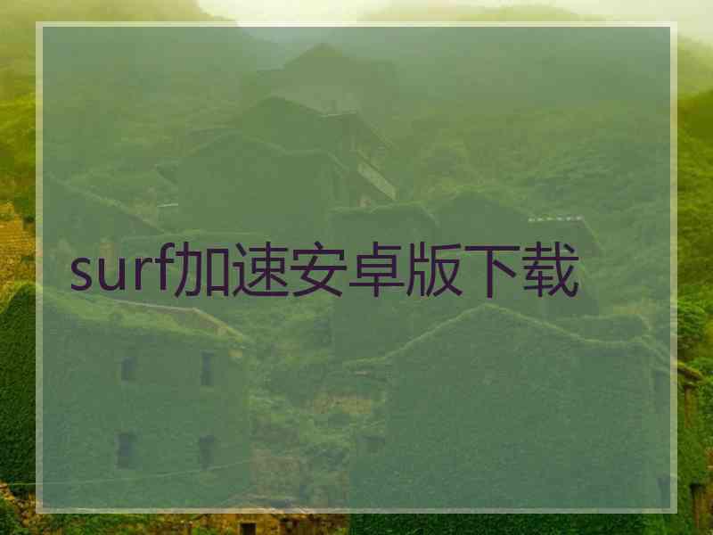 surf加速安卓版下载