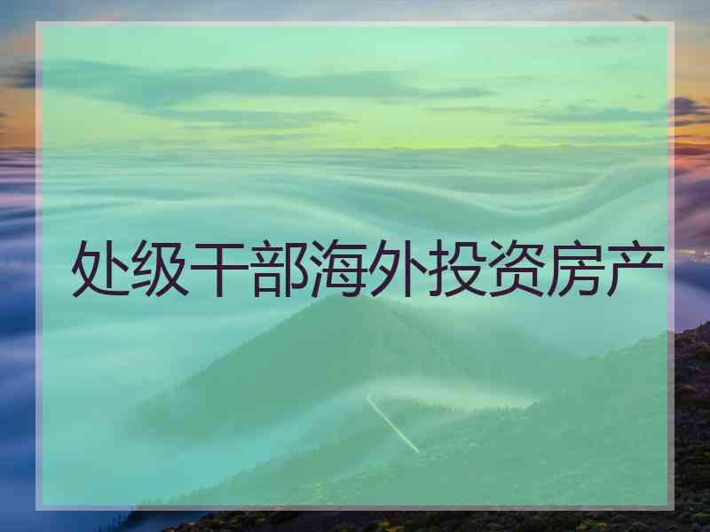 处级干部海外投资房产
