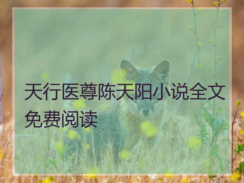 天行医尊陈天阳小说全文免费阅读