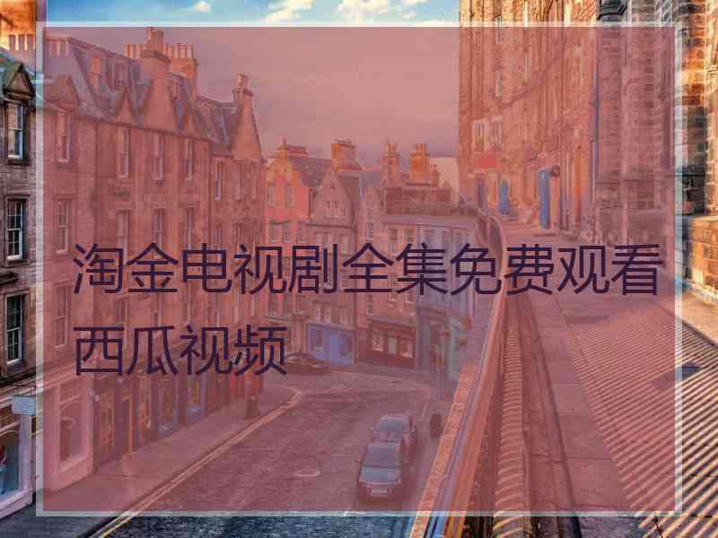 淘金电视剧全集免费观看西瓜视频