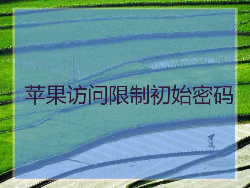 苹果访问限制初始密码