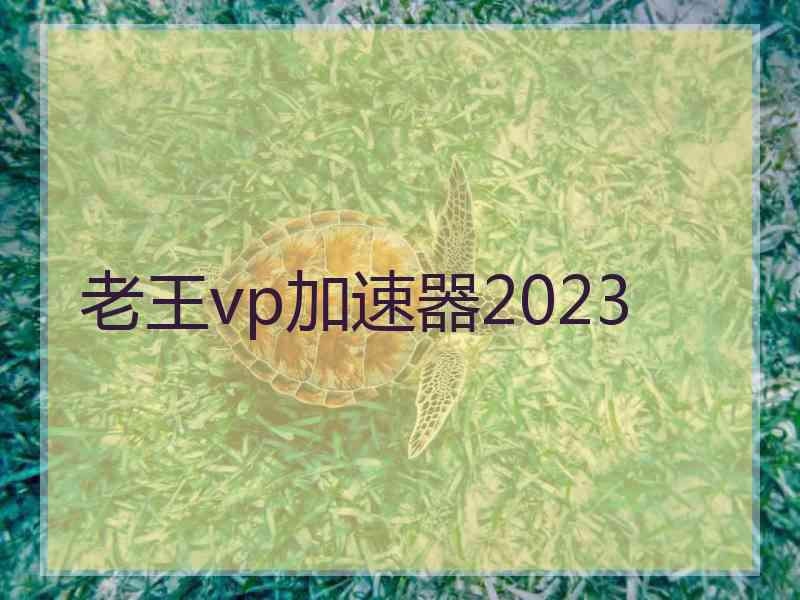 老王vp加速器2023