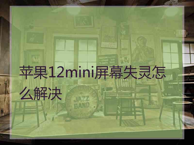 苹果12mini屏幕失灵怎么解决