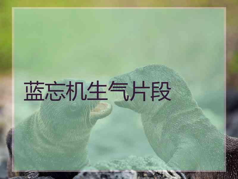 蓝忘机生气片段