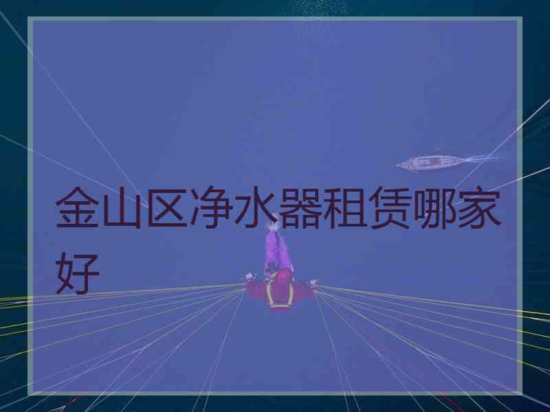 金山区净水器租赁哪家好