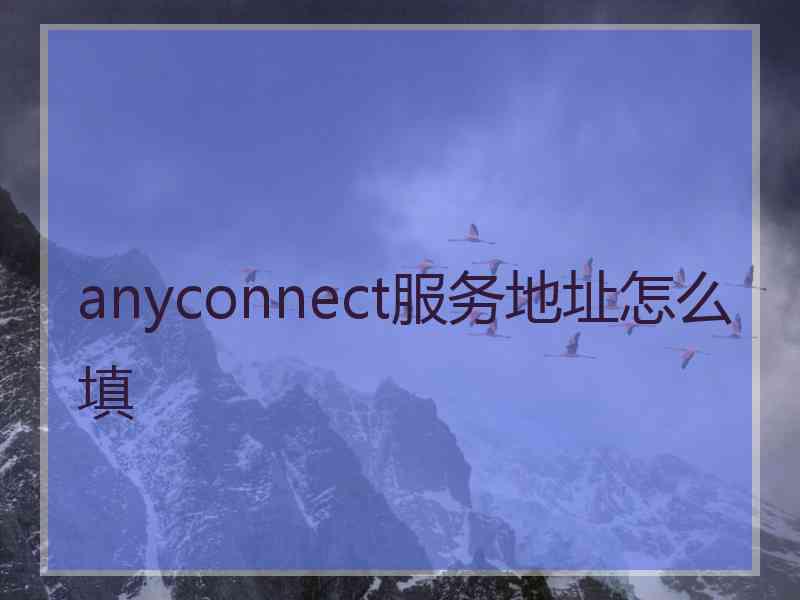 anyconnect服务地址怎么填