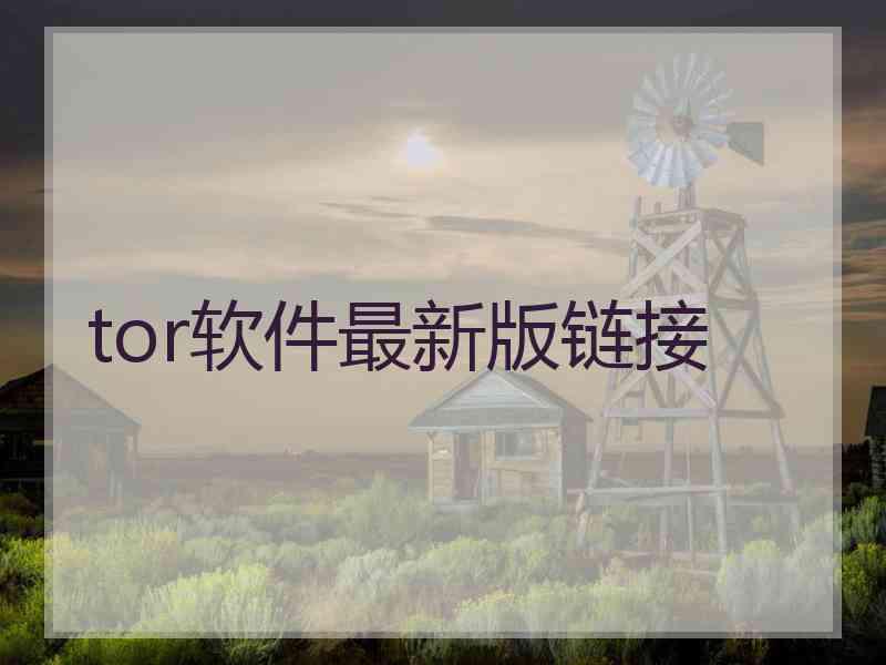 tor软件最新版链接