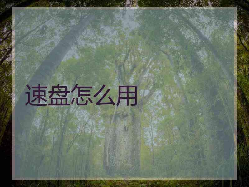 速盘怎么用