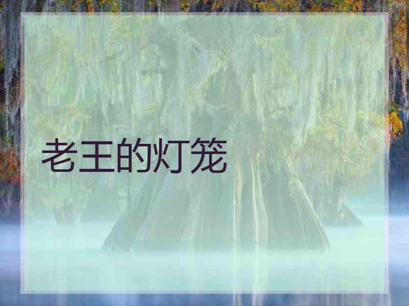 老王的灯笼