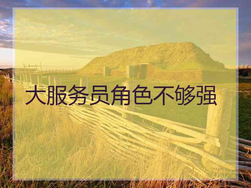 大服务员角色不够强