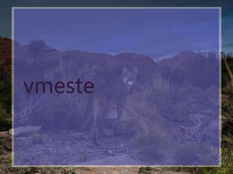 vmeste
