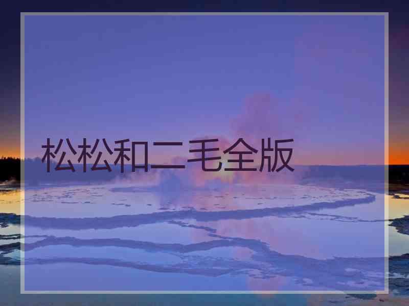 松松和二毛全版