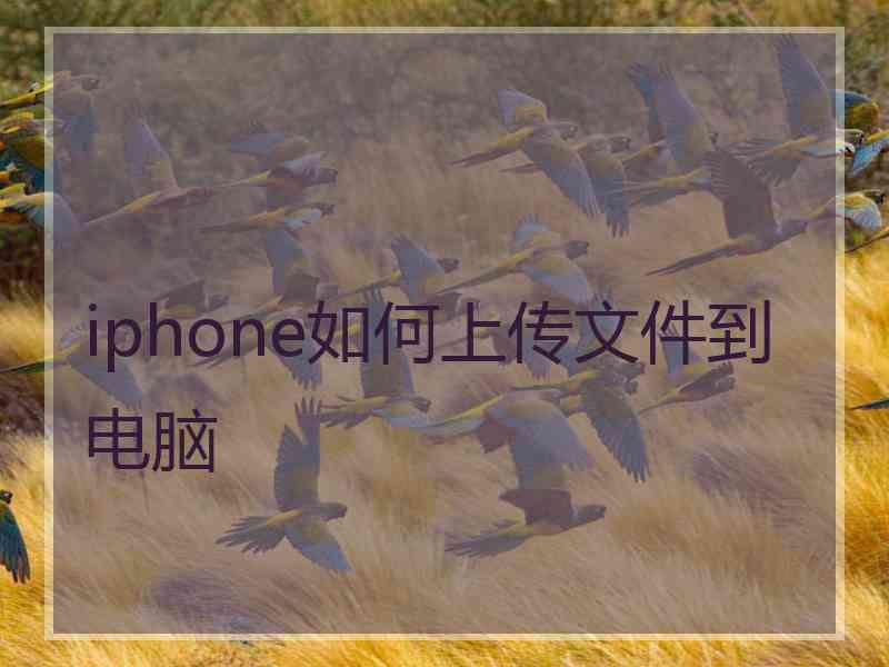 iphone如何上传文件到电脑
