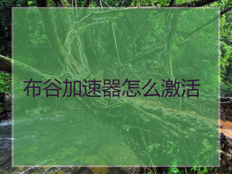 布谷加速器怎么激活