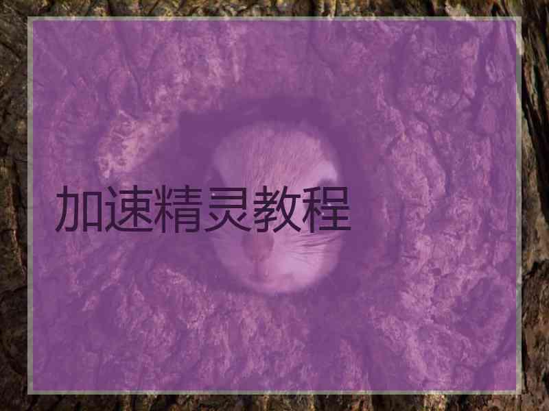 加速精灵教程