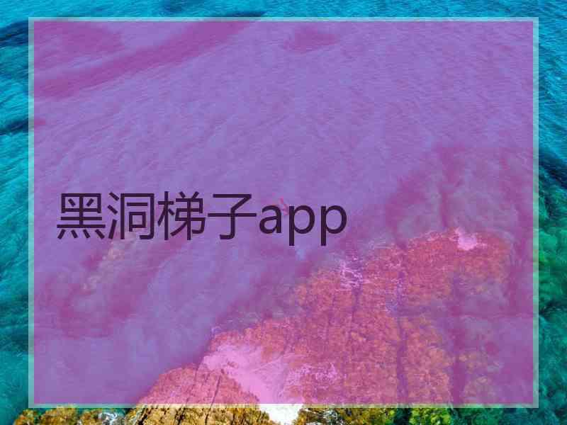 黑洞梯子app