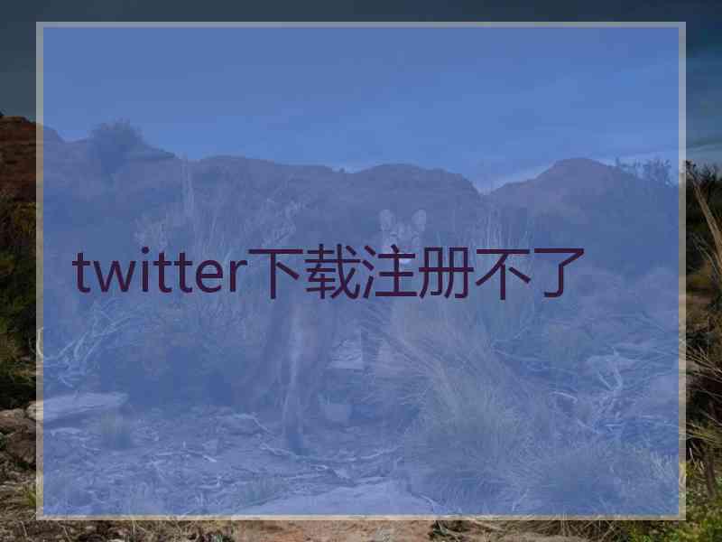 twitter下载注册不了