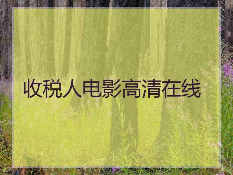 收税人电影高清在线