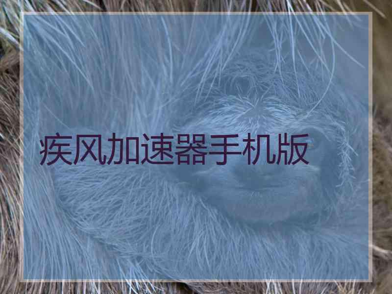 疾风加速器手机版