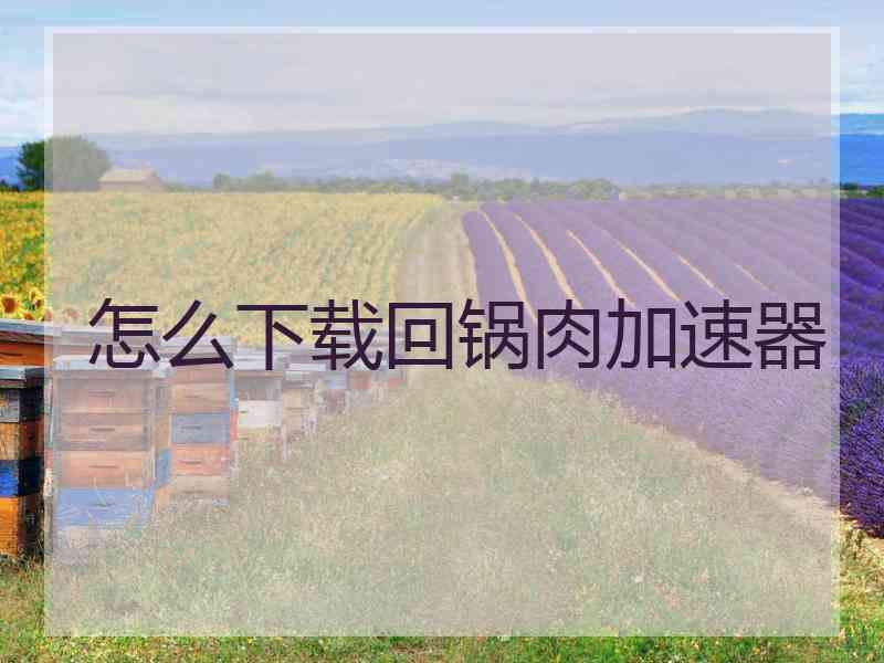 怎么下载回锅肉加速器
