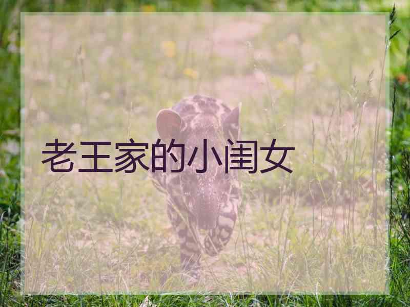 老王家的小闺女