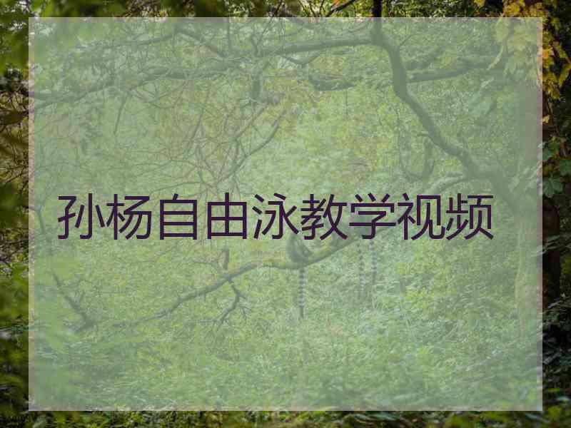 孙杨自由泳教学视频