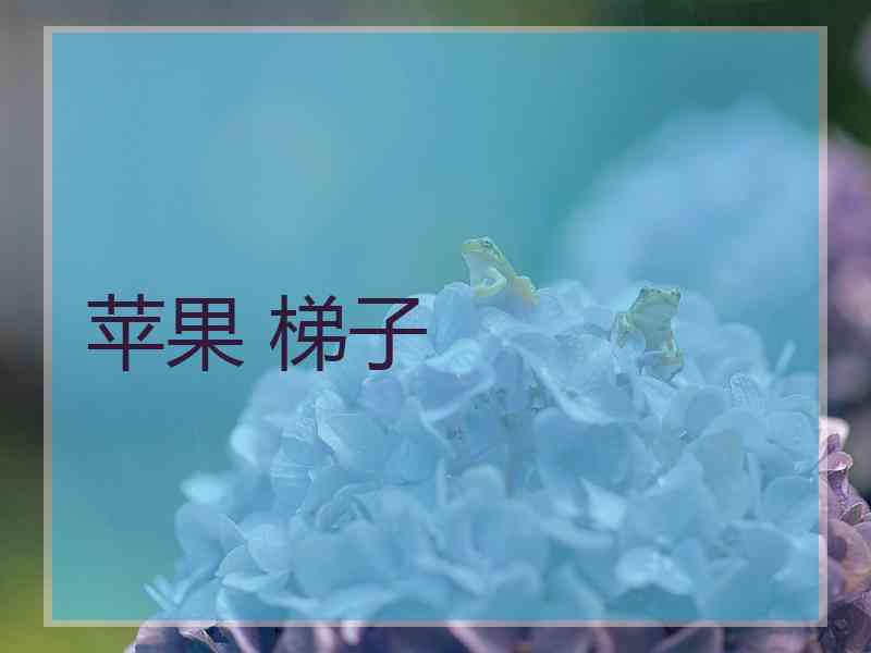 苹果 梯子